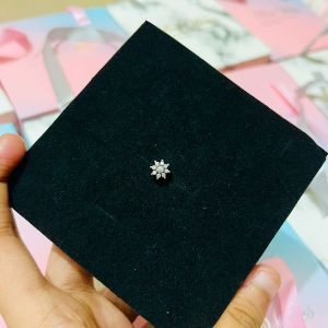 nosepin 4 (copy)